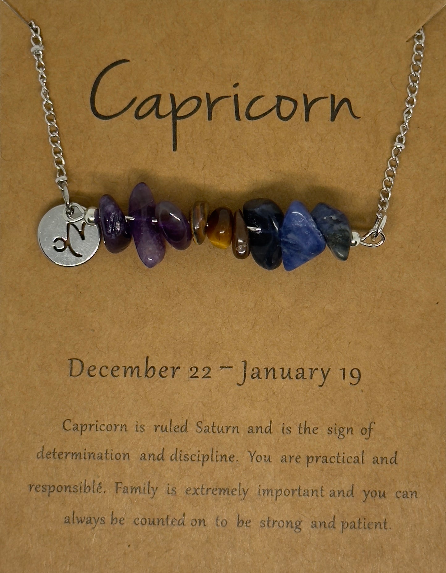 Capricorn Law of Attraction Zodiac Necklace