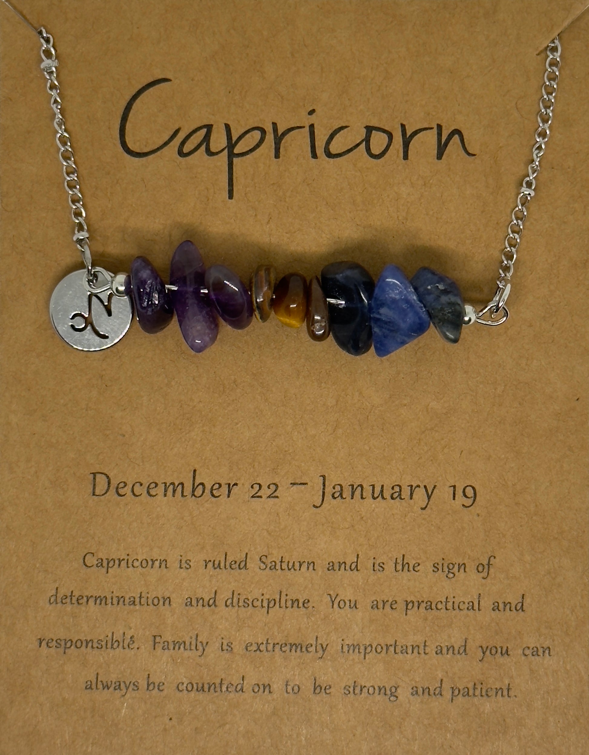 Capricorn Law of Attraction Zodiac Necklace