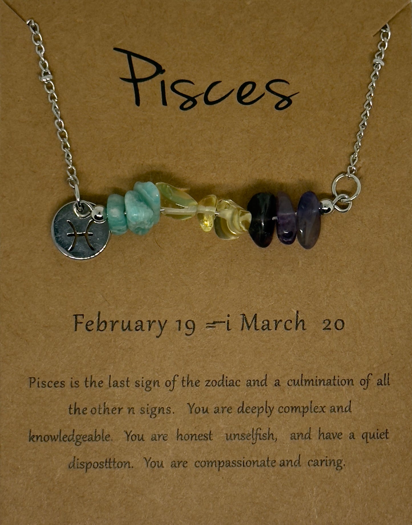 Pisces Law of Attraction Zodiac Necklace
